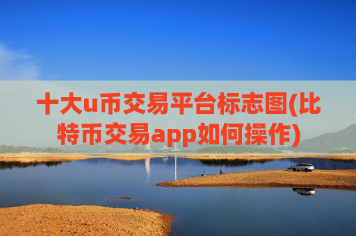 十大u币交易平台标志图(比特币交易app如何操作)
