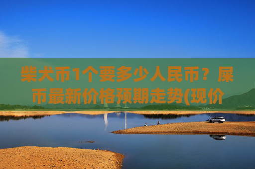 柴犬币1个要多少人民币？屎币最新价格预期走势(现价0.00016741元)