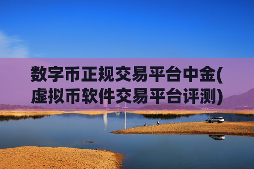 数字币正规交易平台中金(虚拟币软件交易平台评测)