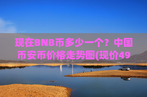 现在BNB币多少一个？中国币安币价格走势图(现价4941.16元)