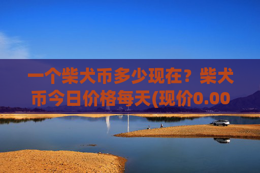 一个柴犬币多少现在？柴犬币今日价格每天(现价0.00016923元)