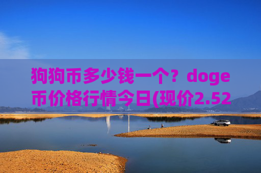 狗狗币多少钱一个？doge币价格行情今日(现价2.5256元)