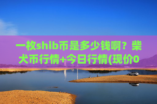 一枚shib币是多少钱啊？柴犬币行情+今日行情(现价0.00017375元)