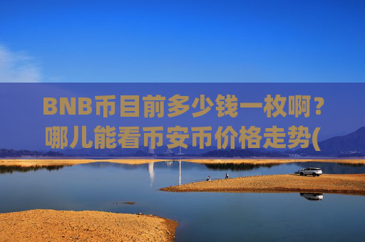 BNB币目前多少钱一枚啊？哪儿能看币安币价格走势(现价5050.57元)