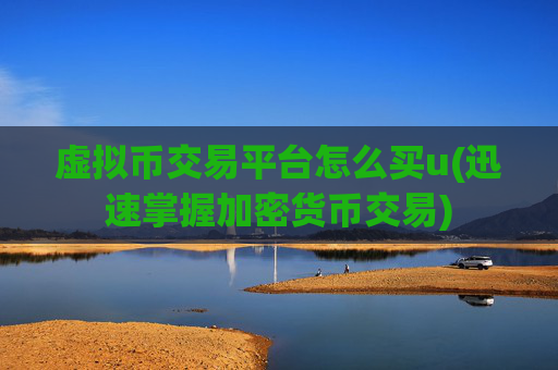虚拟币交易平台怎么买u(迅速掌握加密货币交易)
