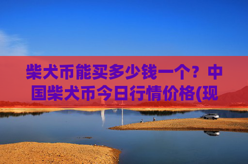 柴犬币能买多少钱一个?中国柴犬币今日行情价格(现价0.00017412元)