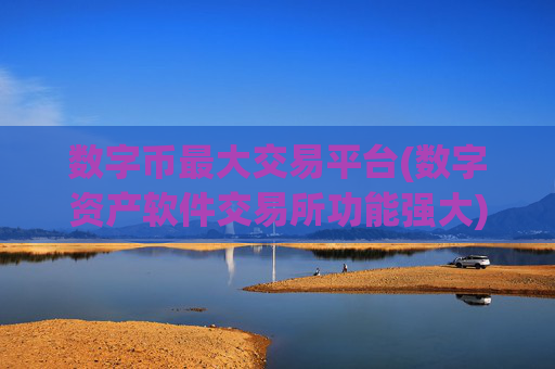 数字币最大交易平台(数字资产软件交易所功能强大)