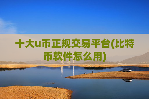 十大u币正规交易平台(比特币软件怎么用)