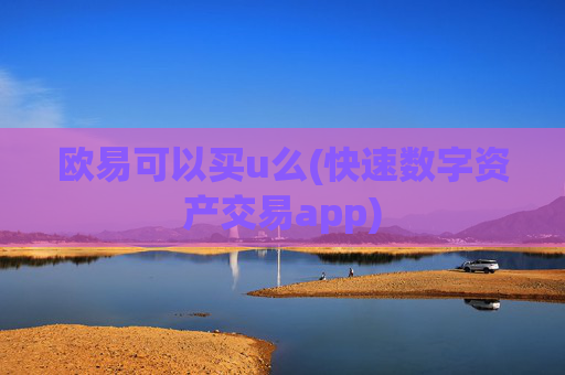 欧易可以买u么(快速数字资产交易app)