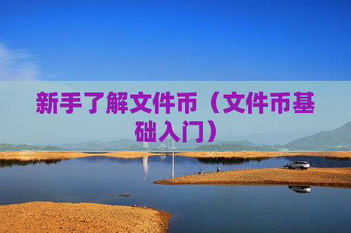 新手了解文件币（文件币基础入门）