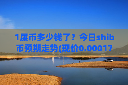 1屎币多少钱了？今日shib币预期走势(现价0.00017237元)