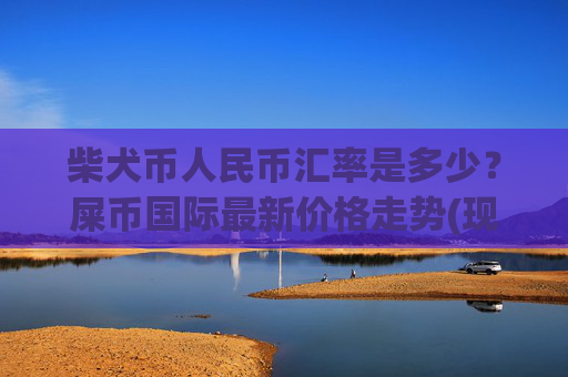 柴犬币人民币汇率是多少？屎币国际最新价格走势(现价0.00017492元)