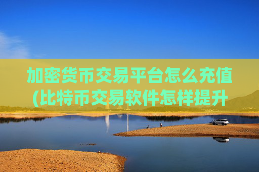 加密货币交易平台怎么充值(比特币交易软件怎样提升交易效率)