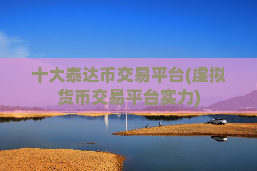 十大泰达币交易平台(虚拟货币交易平台实力)