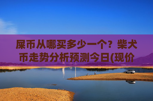 屎币从哪买多少一个？柴犬币走势分析预测今日(现价0.00017229元)