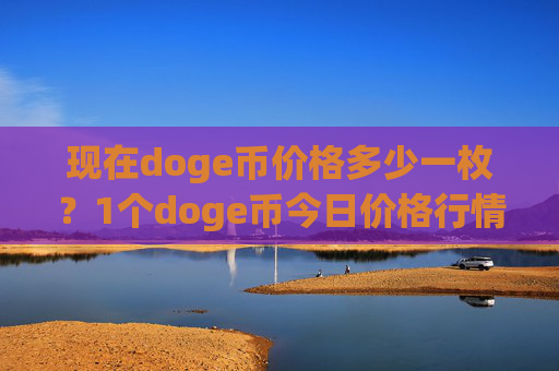 现在doge币价格多少一枚？1个doge币今日价格行情(现价2.4566元)