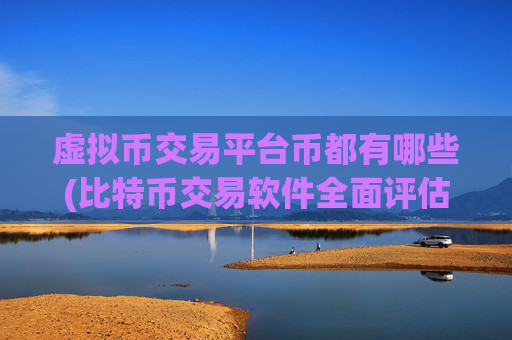 虚拟币交易平台币都有哪些(比特币交易软件全面评估)