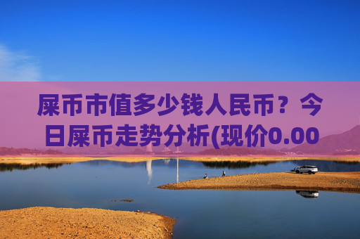 屎币市值多少钱人民币？今日屎币走势分析(现价0.00017076元)