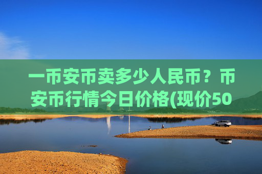 一币安币卖多少人民币？币安币行情今日价格(现价5037.39元)