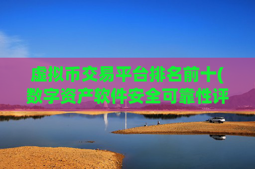 虚拟币交易平台排名前十(数字资产软件安全可靠性评估)