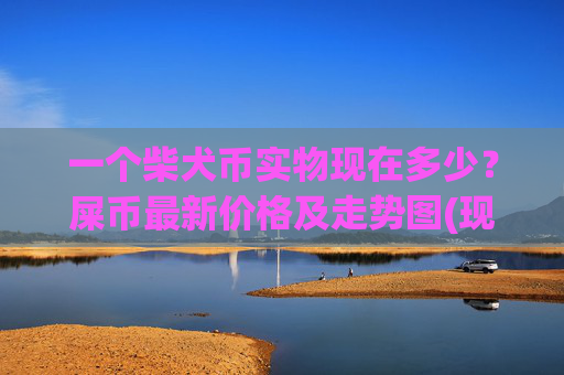 一个柴犬币实物现在多少？屎币最新价格及走势图(现价0.00017368元)