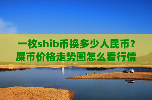 一枚shib币换多少人民币？屎币价格走势图怎么看行情(现价0.00016879元)