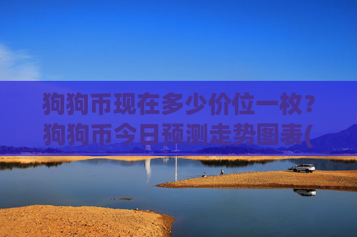 狗狗币现在多少价位一枚?狗狗币今日预测走势图表(现价2.49元)