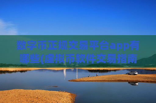数字币正规交易平台app有哪些(虚拟币软件交易指南大全)