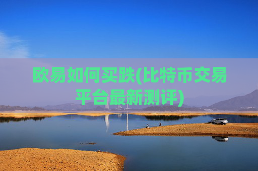欧易如何买跌(比特币交易平台最新测评)