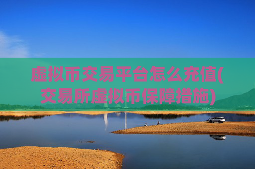 虚拟币交易平台怎么充值(交易所虚拟币保障措施)