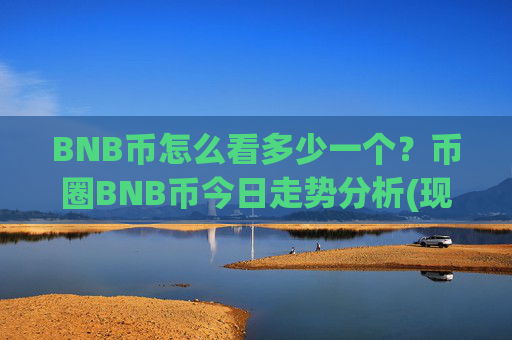 BNB币怎么看多少一个？币圈BNB币今日走势分析(现价4953.63元)