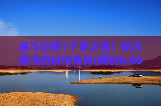 屎币价格1个多少钱？明天屎币的价格走势(现价0.00016704元)