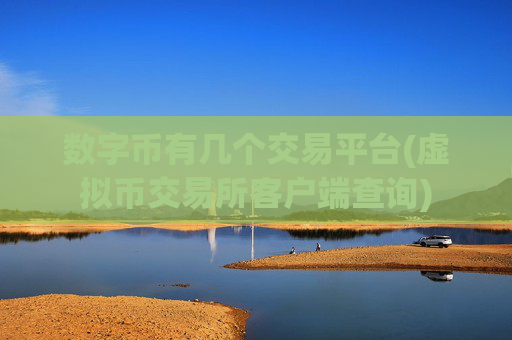 数字币有几个交易平台(虚拟币交易所客户端查询)