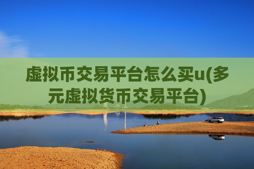 虚拟币交易平台怎么买u(多元虚拟货币交易平台)