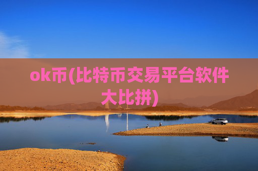 ok币(比特币交易平台软件大比拼)