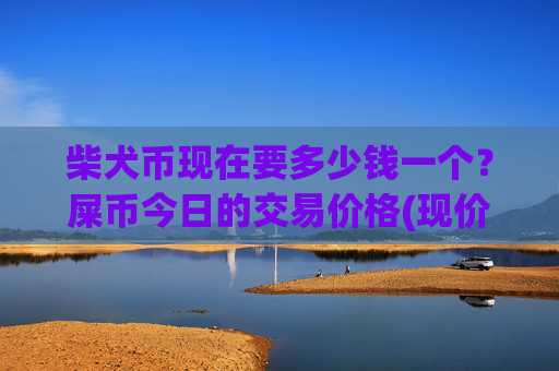 柴犬币现在要多少钱一个？屎币今日的交易价格(现价0.00016901元)