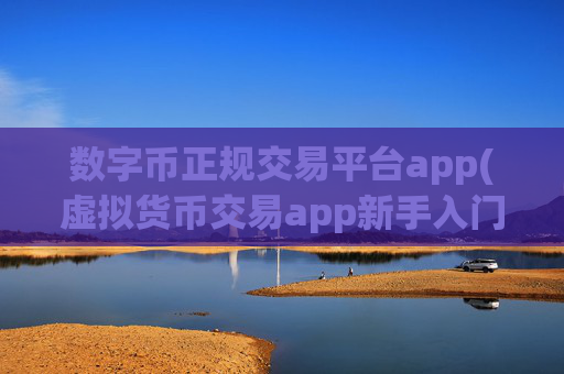数字币正规交易平台app(虚拟货币交易app新手入门指南)