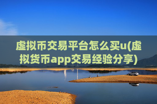 虚拟币交易平台怎么买u(虚拟货币app交易经验分享)