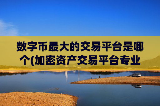 数字币最大的交易平台是哪个(加密资产交易平台专业评估)
