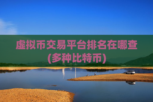 虚拟币交易平台排名在哪查(多种比特币)