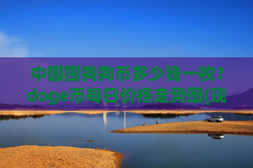 中国囤狗狗币多少钱一枚？doge币每日价格走势图(现价2.488元)