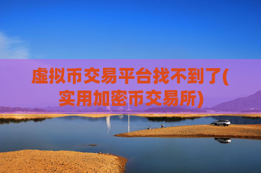 虚拟币交易平台找不到了(实用加密币交易所)