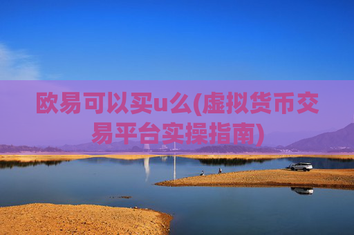 欧易可以买u么(虚拟货币交易平台实操指南)