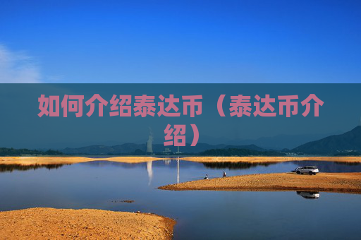 如何介绍泰达币（泰达币介绍）