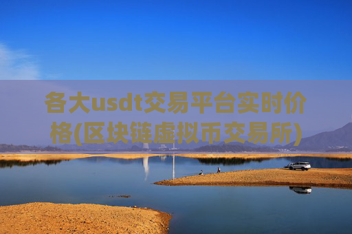 各大usdt交易平台实时价格(区块链虚拟币交易所)