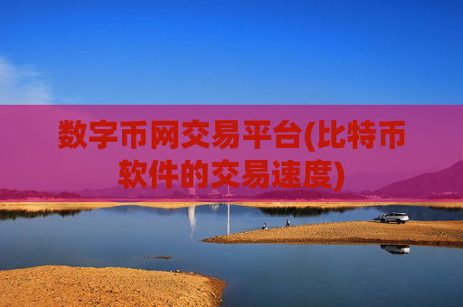 数字币网交易平台(比特币软件的交易速度)