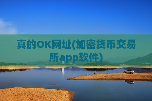 真的OK网址(加密货币交易所app软件)