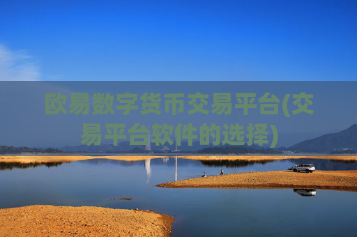 欧易数字货币交易平台(交易平台软件的选择)