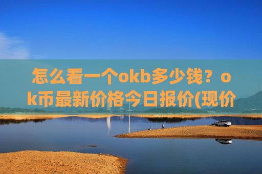 怎么看一个okb多少钱？ok币最新价格今日报价(现价346.803元)