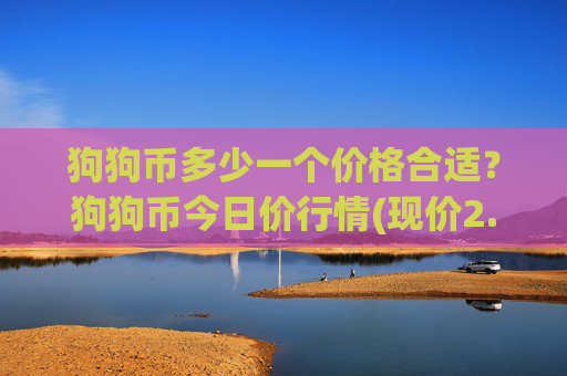 狗狗币多少一个价格合适？狗狗币今日价行情(现价2.514元)